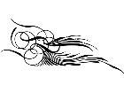  Pinstriping Designs 4 2 9 1 2 1 V A 1 Decal