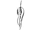  Pinstriping Designs 4 4 5 1 2 2 V A 1 Decal
