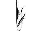  Pinstriping Designs 4 4 9 1 2 2 V A 1 Decal