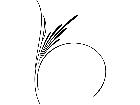  Pinstriping Designs 4 6 8 1 2 3 V A 1 Decal