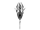  Pinstriping Designs 4 8 3 1 2 3 V A 1 Decal
