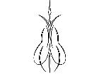  Pinstriping Designs 5 1 8 1 2 5 V A 1 Decal