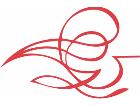  Pinstripings Misc 0 0 2 Decal