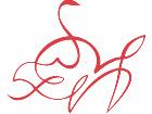  Pinstripings Misc 0 4 8 Decal