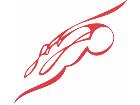  Pinstripings Misc 0 5 0 Decal