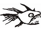  Pirana Scribble Decal
