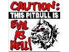  Pitbull Evil S G 1 Decal