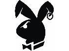  Playboy Rough Decal