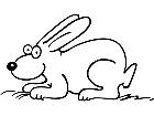  Rabbit 0 4 3 V A 1 Decal
