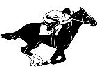  Race Horse 1 3 4 V A 1 Decal
