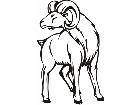  Ram Animal Wild 0 3 2a Decal