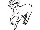  Ram Animal Wild 0 3 6a Decal