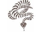 Rattlesnake Decal