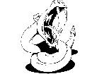  Rattlesnake 2 M B 1 Decal