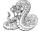  Rattlesnake 4 M B 1 Decal