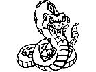  Rattlesnake 5 M B 1 Decal