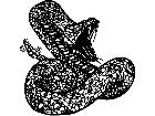  Rattlesnake 6 M B 1 Decal