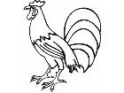  Rooster 2 Decal