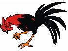  Rooster Down G D 1 Decal