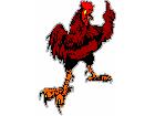  Rooster Number 1 C L 2 Decal