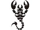  Scorpion Tribalized 0 1 6 Decal