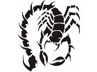  Scorpion Tribalized 0 1 7 Decal