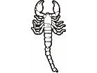  Scorpion Tribalized 0 2 2 Decal