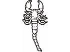  Scorpion Tribalized 0 2 2 Decal