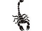  Scorpion Tribalized 0 2 4 Decal