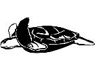  Sea Turtle 1 4 0 V A 1 Decal