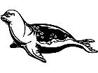  Seal 1 3 8 V A 1 Decal