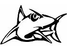  Shark Sharp Decal