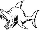  Shark 0 4 1 V A 1 Decal