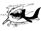  Shark 0 4 4 V A 1 Decal
