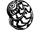  Shell Bednalls Volute 1 7 9 V A 1 Decal