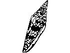  Shell Glory Of India 1 7 9 V A 1 Decal