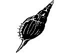  Shell Martinis Tibia 1 7 9 V A 1 Decal