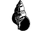  Shell Whelkl 1 7 9 V A 1 Decal