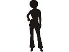  Silhouette Chalet Ny 7 0s Model Decal