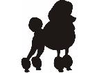  Silhouette Poodle Decal