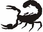  Silhouette Scorpion Decal