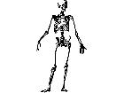  Skeleton Standing Decal