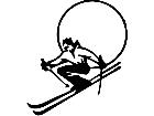  Skiier Decal