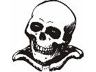  Skull 0 1 Decal