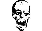  Skull 0 6 Decal