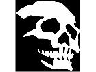  Skull 1 0 Decal