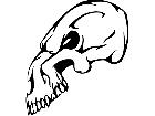  Skull Beast Animal Decal