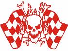  Skull Checker Flag Decal