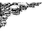  Skull Corner Border Decal