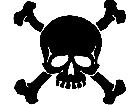  Skull Crossbones 3 Decal